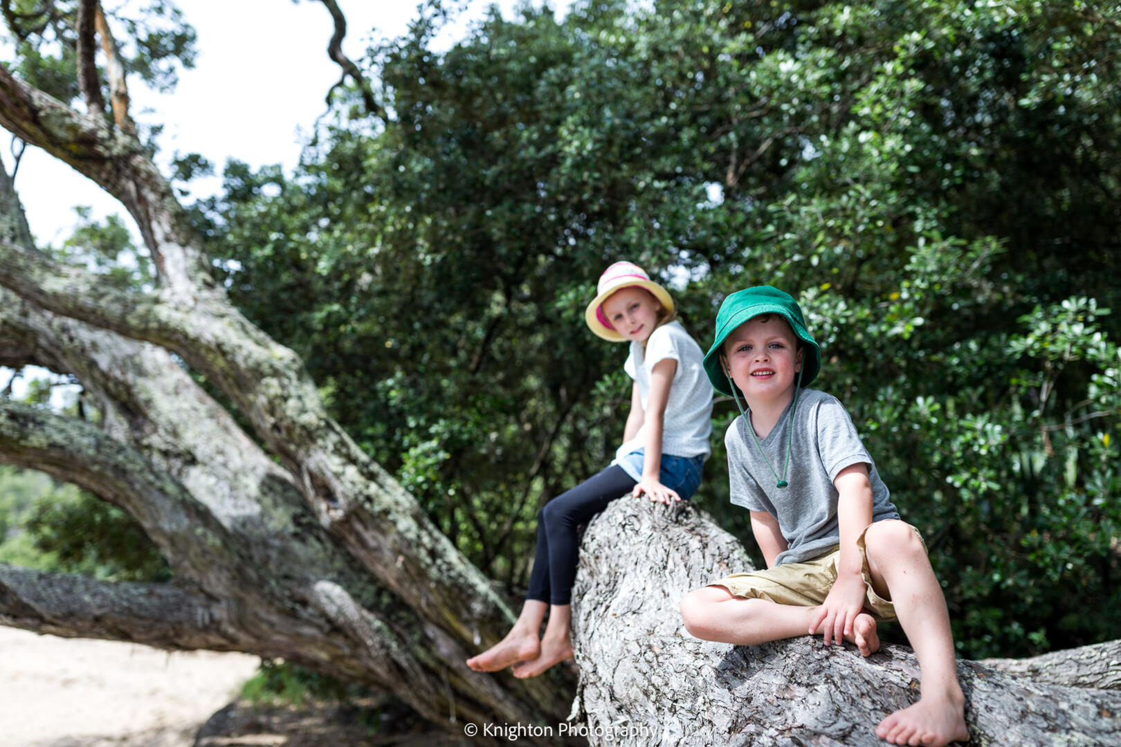 tree portrait