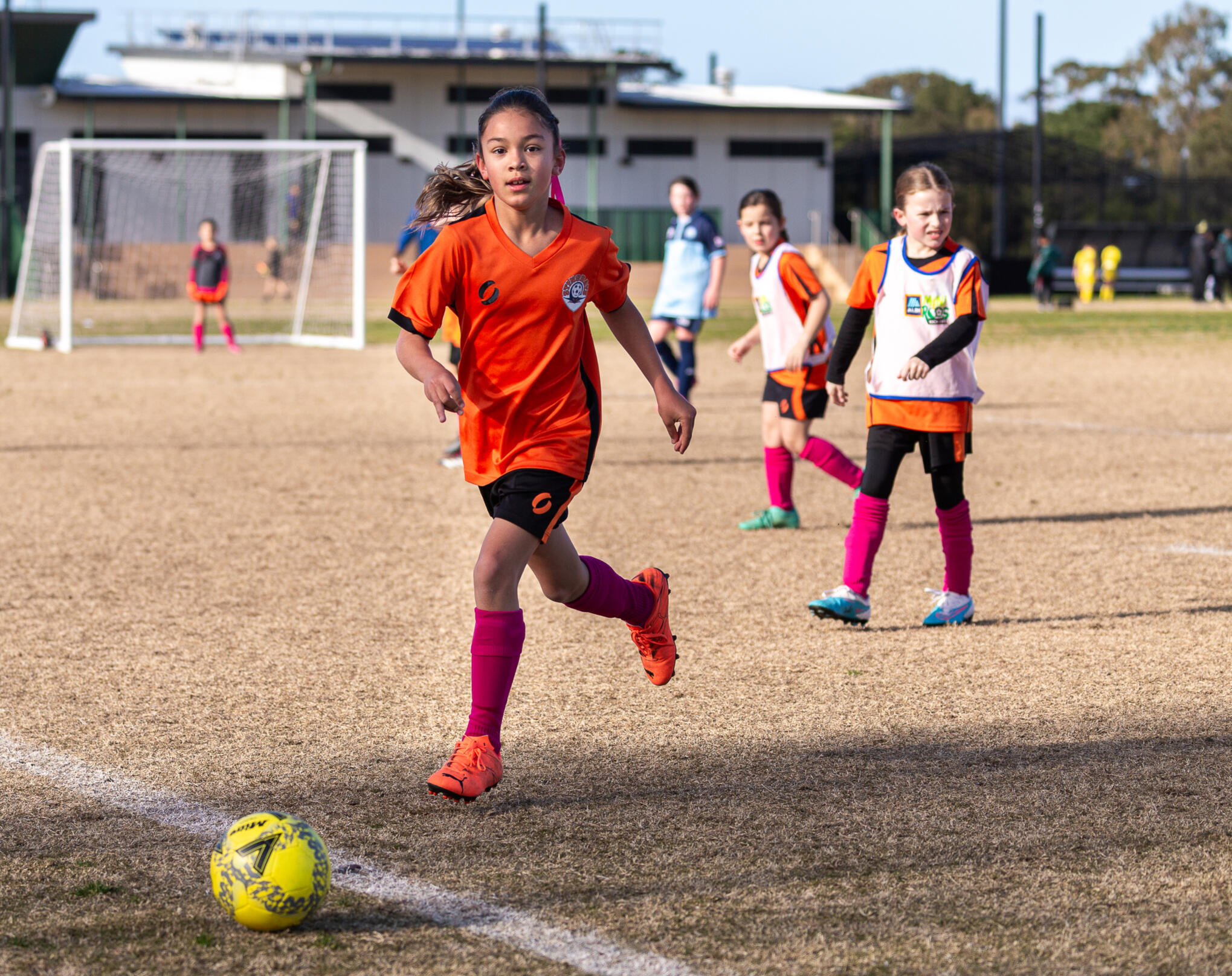 Sports Photos